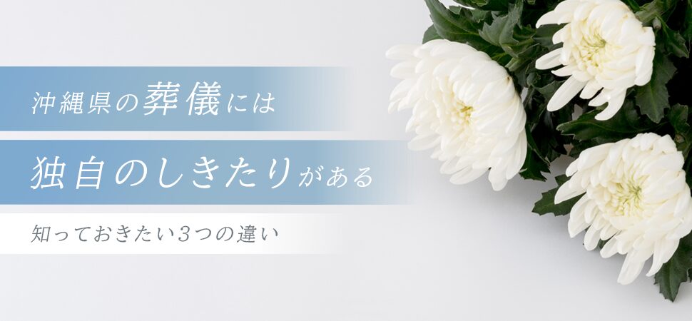 ノーマル画像